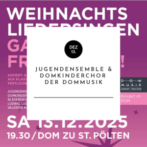 Konzert im Dom - Weihnachtsliedersingen