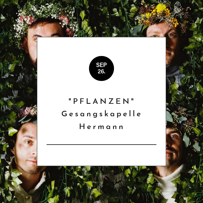 Pflanzen